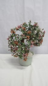 Large Chinese Jade Tree in Flower Pot
