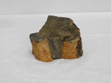 Olivewood from Jerusalem Paperweight