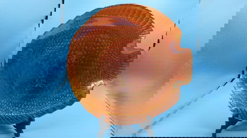 Vintage Large Orange Glass Fish Platter