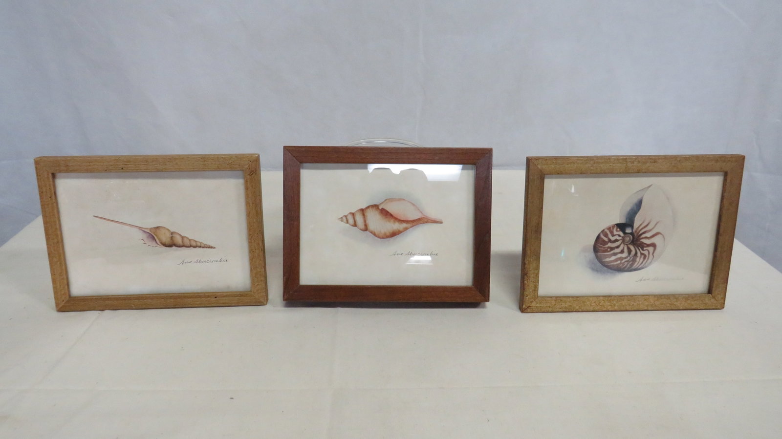 3 Vintage Shell Signed Watercolor Paintings (1 of 3)