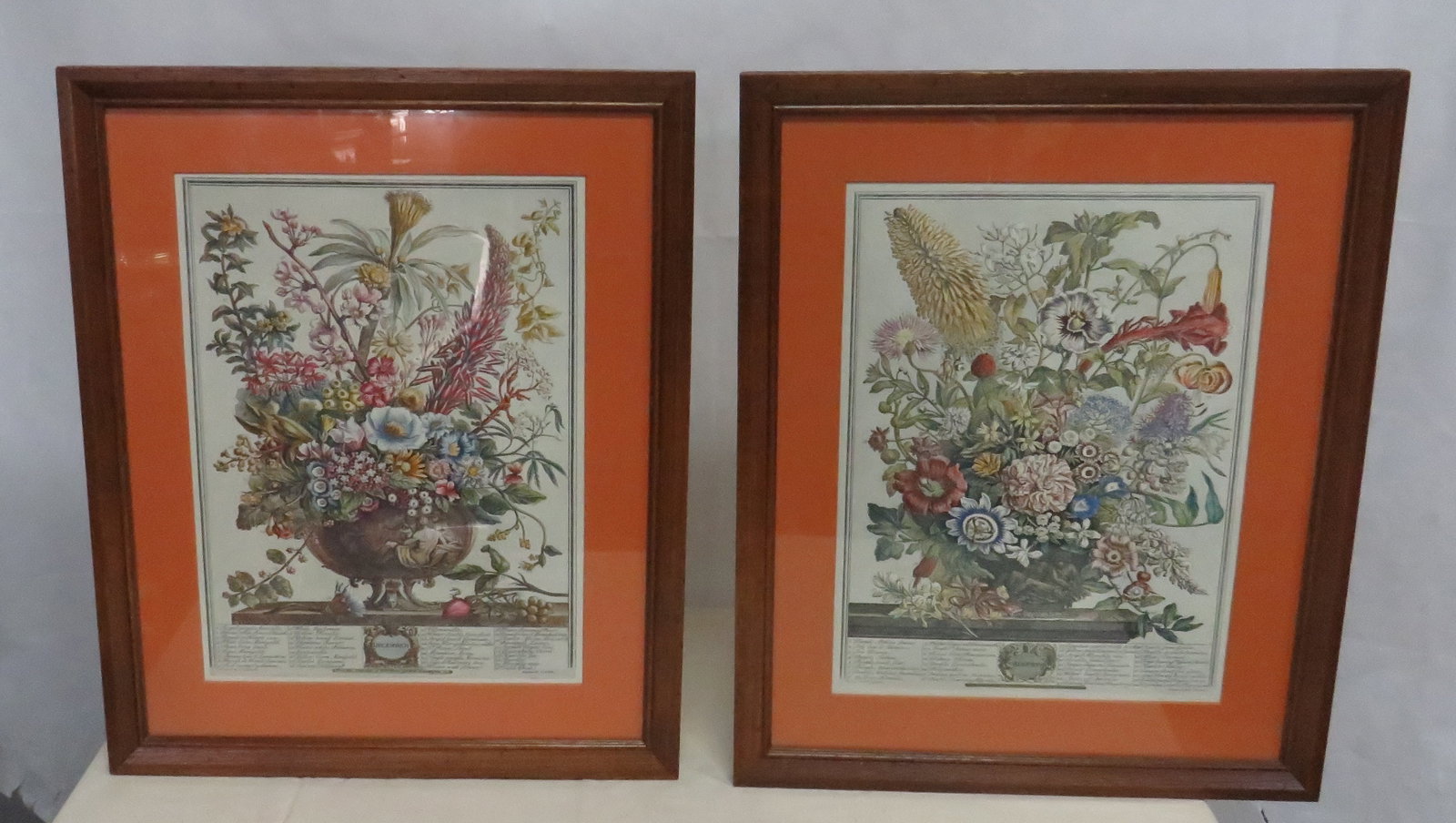 Vtg Robert Furber Botanical Engravings: Vtg Robert Furber Botanical Engravings in good condition. Professionally framed and matted, 1960's era. Frame size 22" x 18"