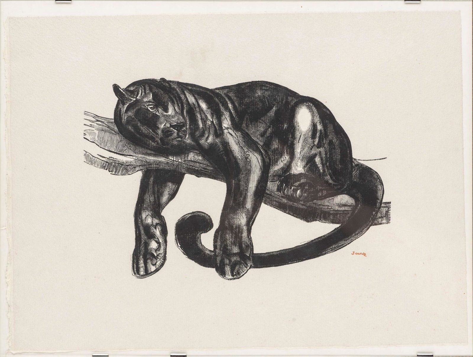 Paul JOUVE (1878-1973) "Panthère noire: Paul Jouve (1878-1973) d'après, Jean Luc Perrichon graveur "Panthère noire branchée" . Gravure sur bois, tirage sur papier Arches signé dans la planche en rouge JOUVE en bas à droite. Gravure pou
