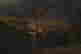 item-129764545=4