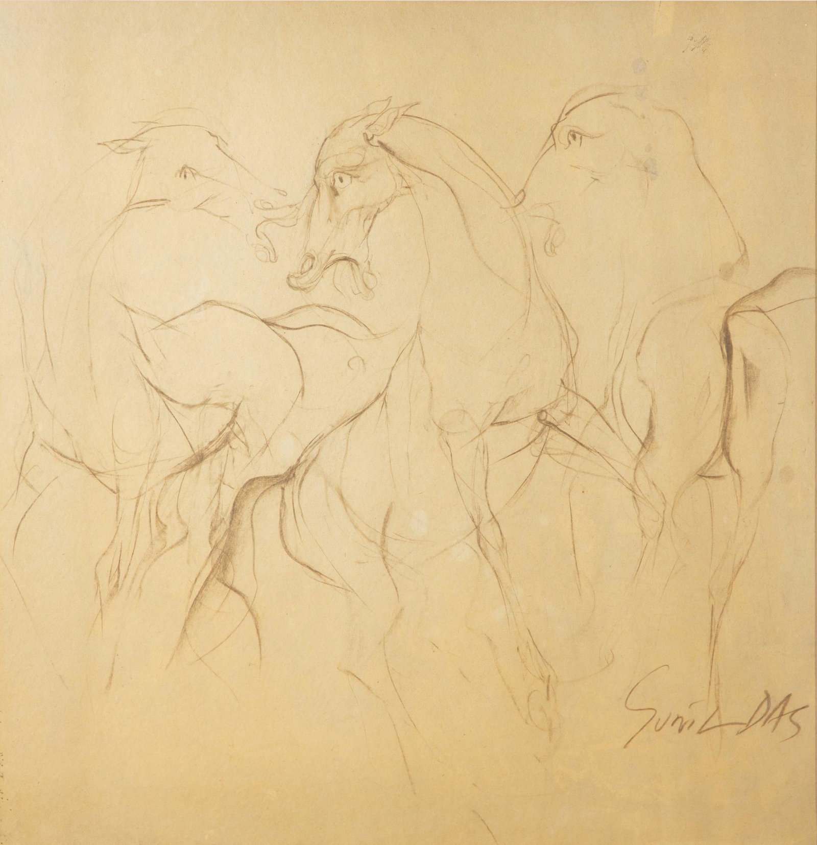 Untitled (Three Horses): charcoal drawing on paper, signed 'Sunil Das' on the lower right side of the picture