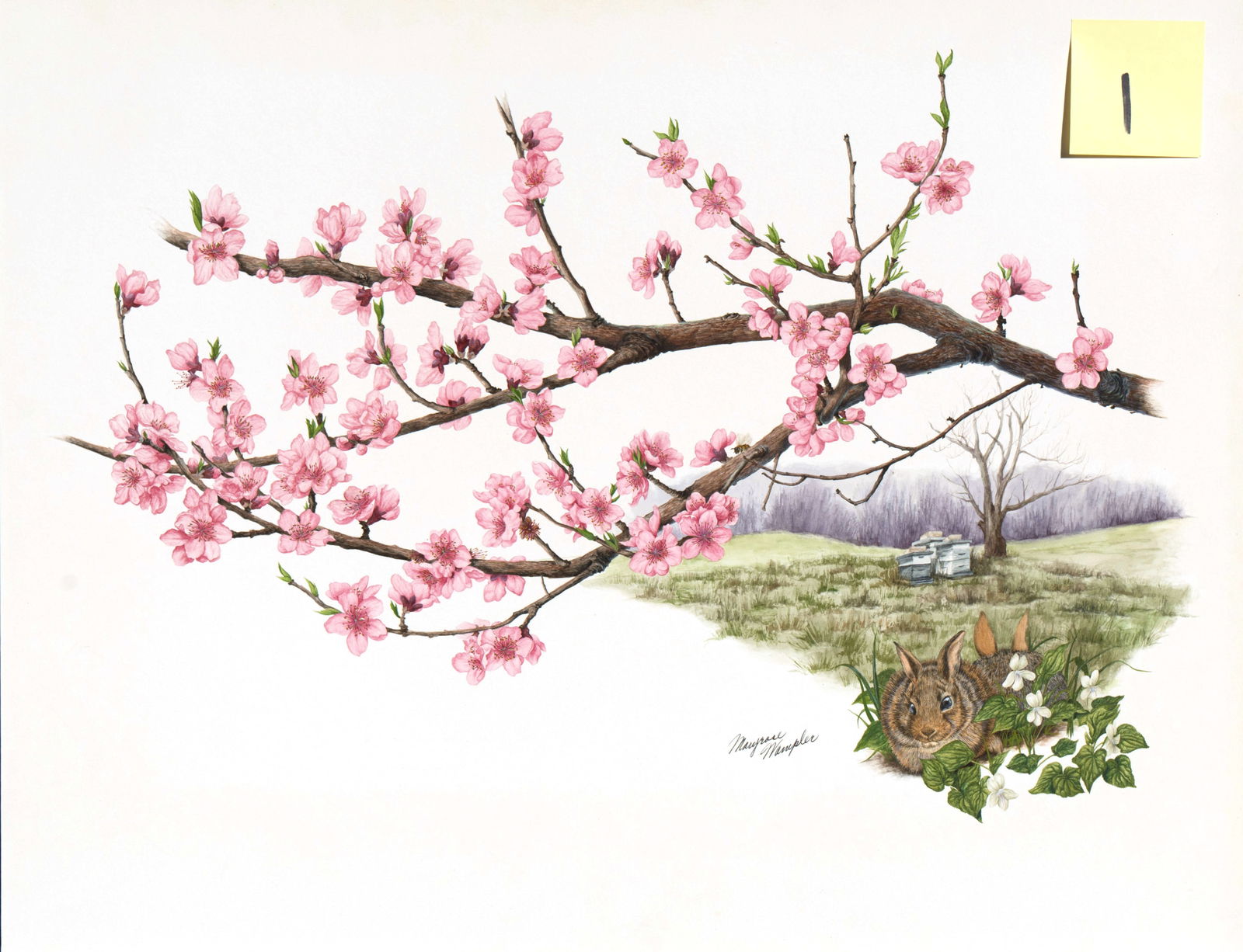 Peach Blossom: watercolor painting