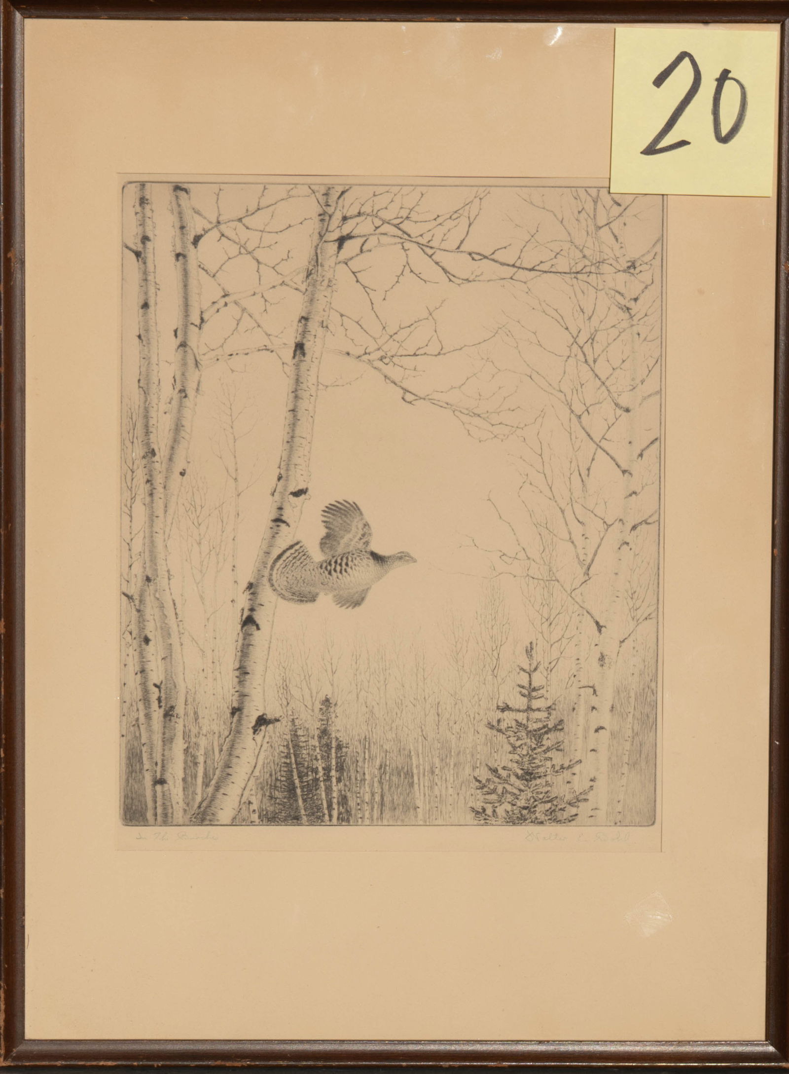 Walter Bohl - In the Birches: original etching