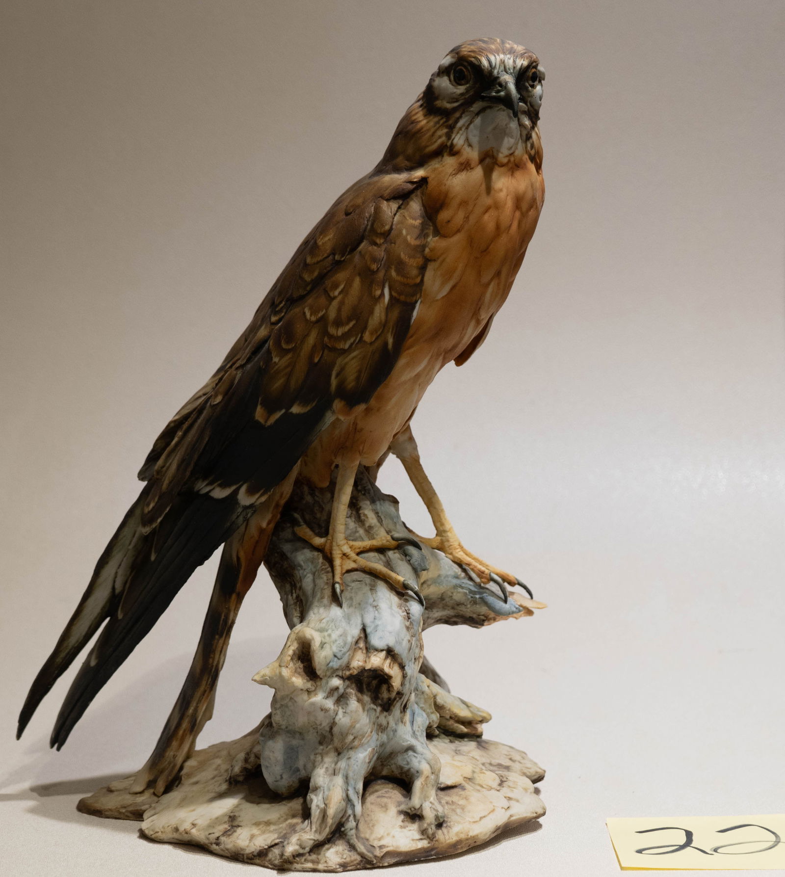 Tay - Hawk: Tay Italian porcelain hawk