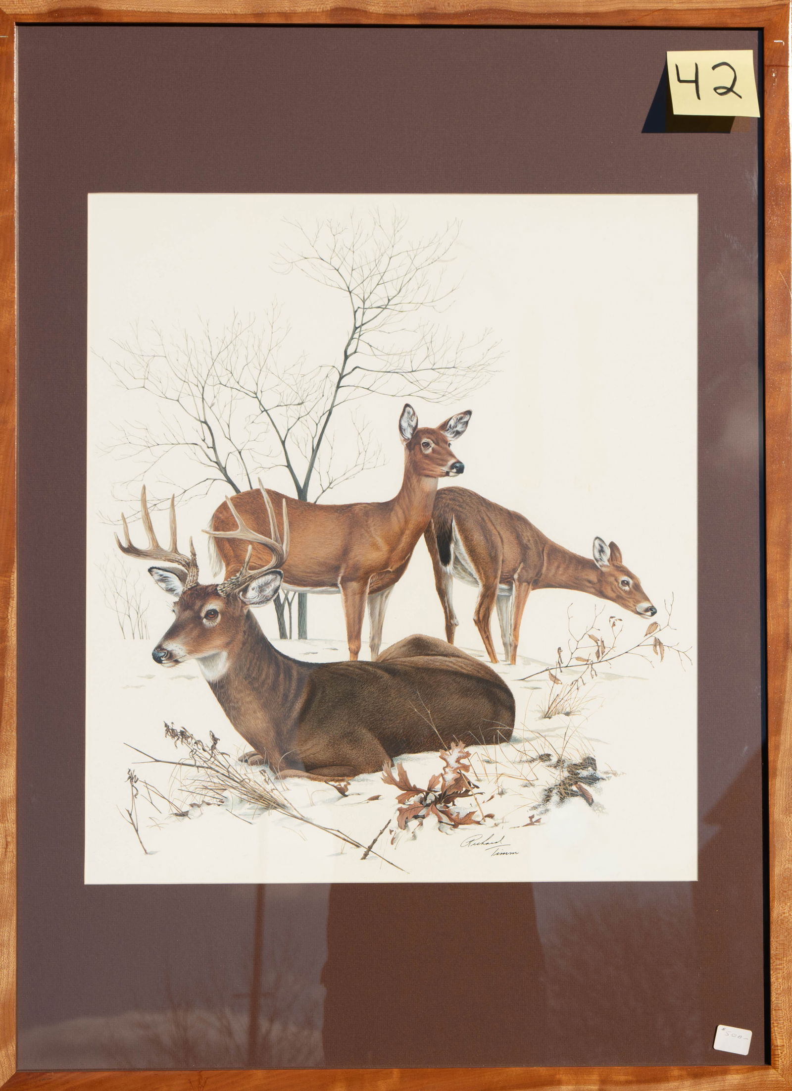 Richard Timm - White-Tailed Deer: Original acrylic painting