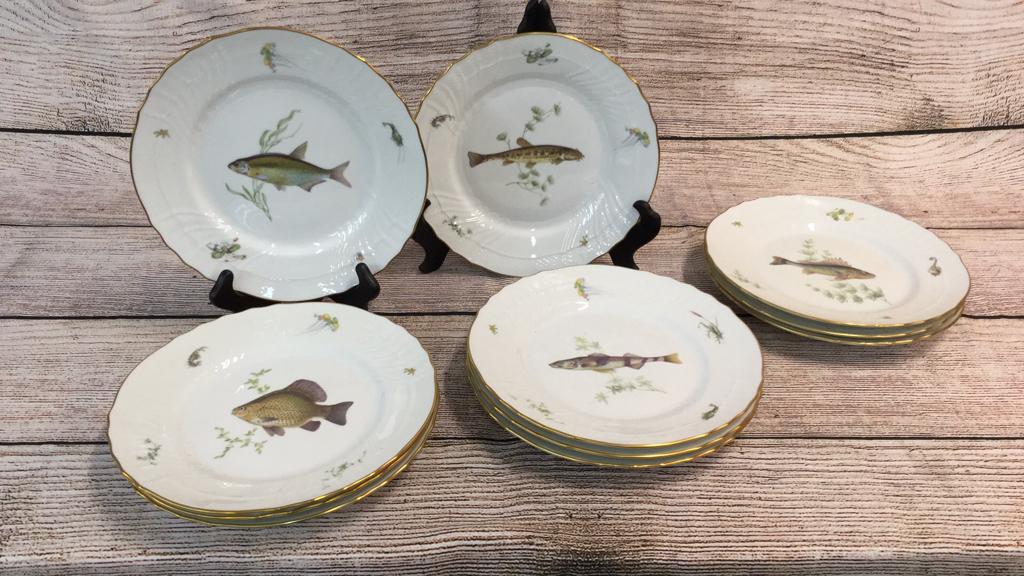 11 Richard Ginori Fish Plates: 10" Dinner Plates, Excellent Condition