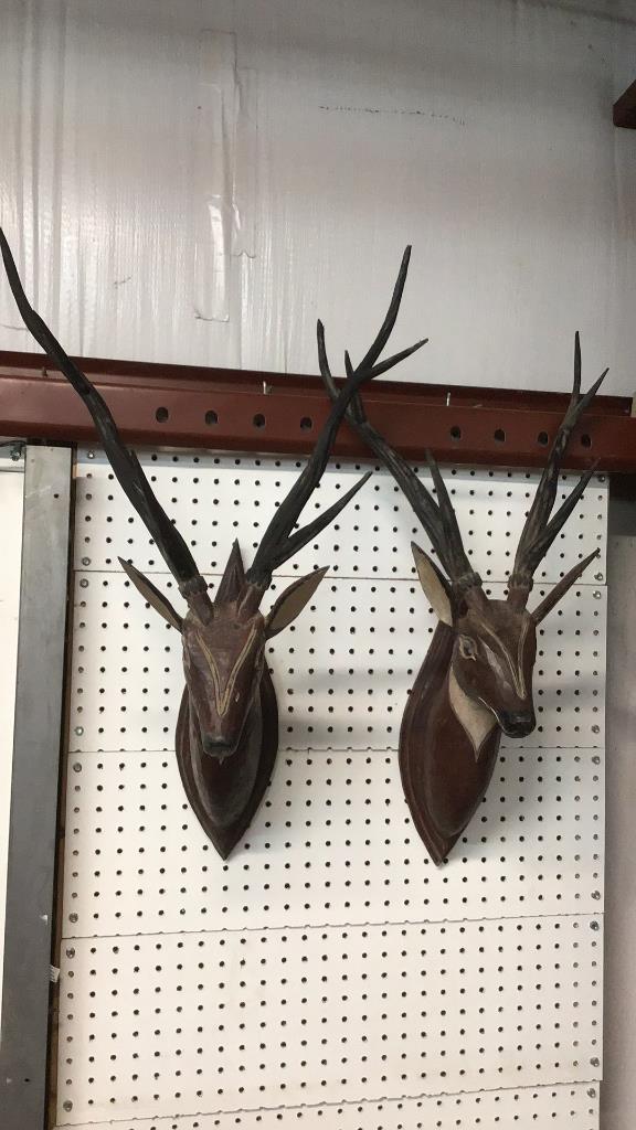 Pair Carved Eurasian Carved Wooden Deer Heads: Carved wood antlers, 29 inch overall length
