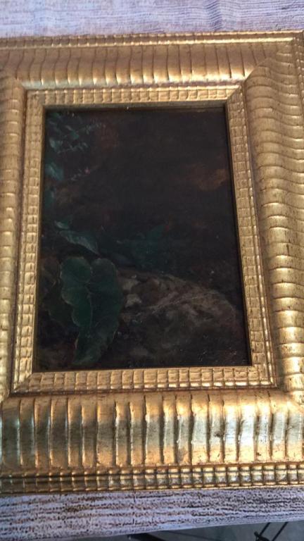 Oil Painting on Board, A Study of Plants (1 of 7)