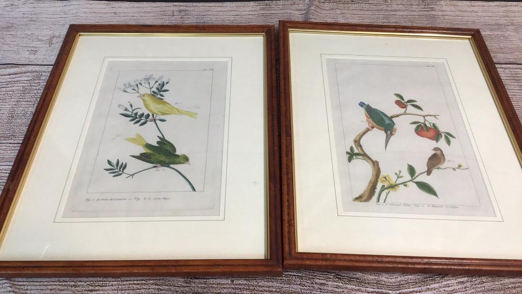 Two Audubon Style Prints (1 of 8)