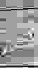 item-85401455=3