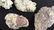 6 Quartz Crystal Geodes - 3