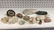 13 Small Quartz Fossils