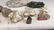13 Small Quartz Fossils - 3
