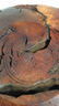 Beautiful Manzanita Burl Sculpture - 5
