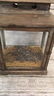 Hanging Lantern, Converted to Terrarium - 2