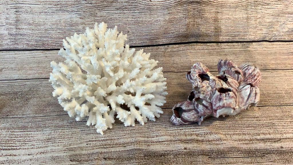 Branch Coral Cluster, Barnacle Cluster: 9 inch coral branch, 8 inch purple barnacle cluster