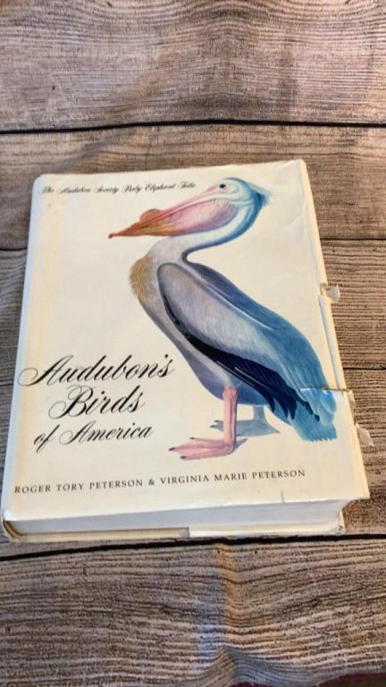 Audubon Birds of America , 1981 Book (1 of 4)