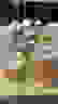 item-97265386=5