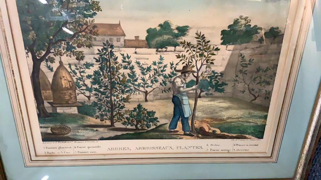 2 French Lithographs, Horticulture (1 of 6)