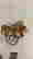item-103031679=5