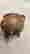 item-105906633=4