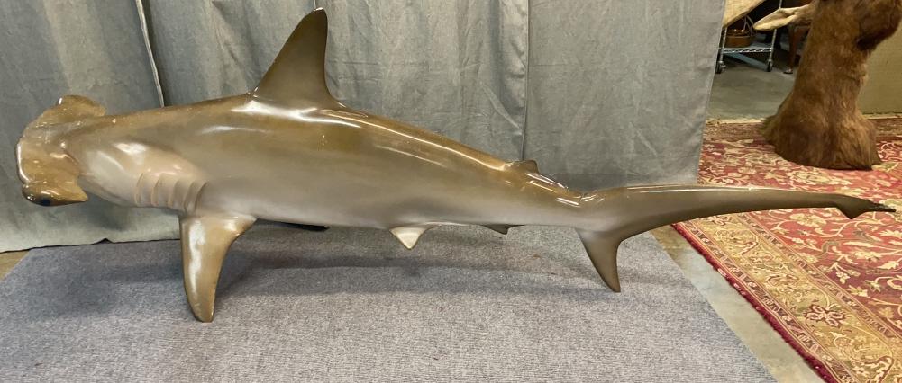 Hammer Head Shark Mount (1 of 2)