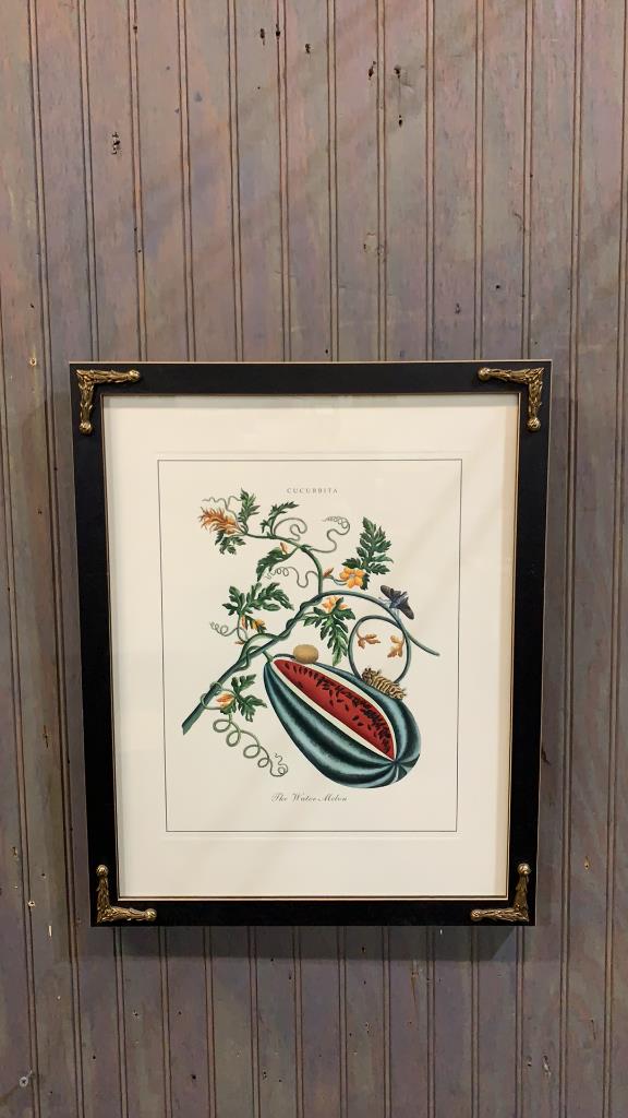 4 Framed Fruit Prints (1 of 8)