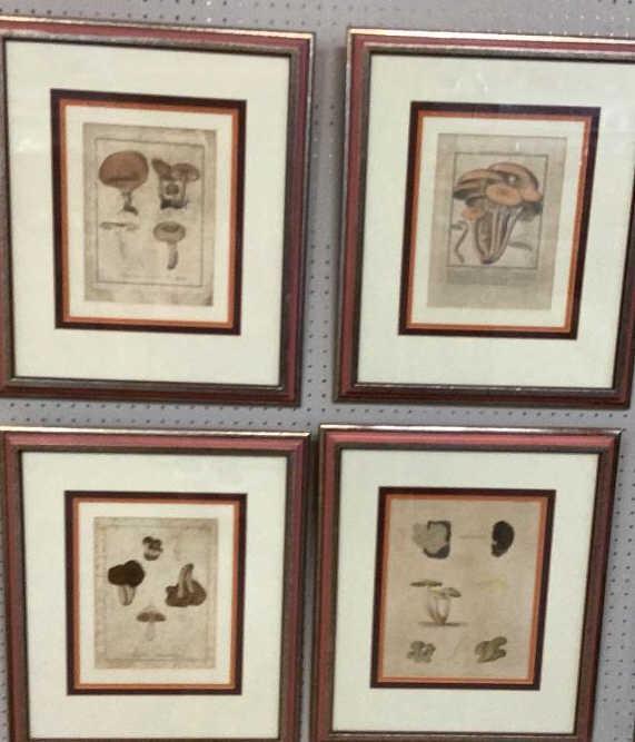 4 Botanical Prints (1 of 5)