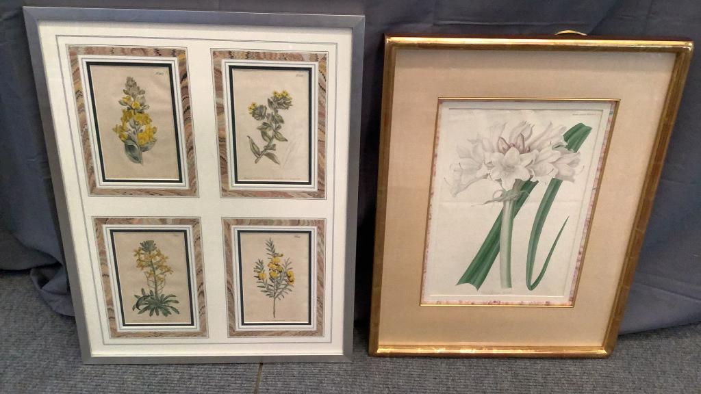 2 Botanical Studies (1 of 5)