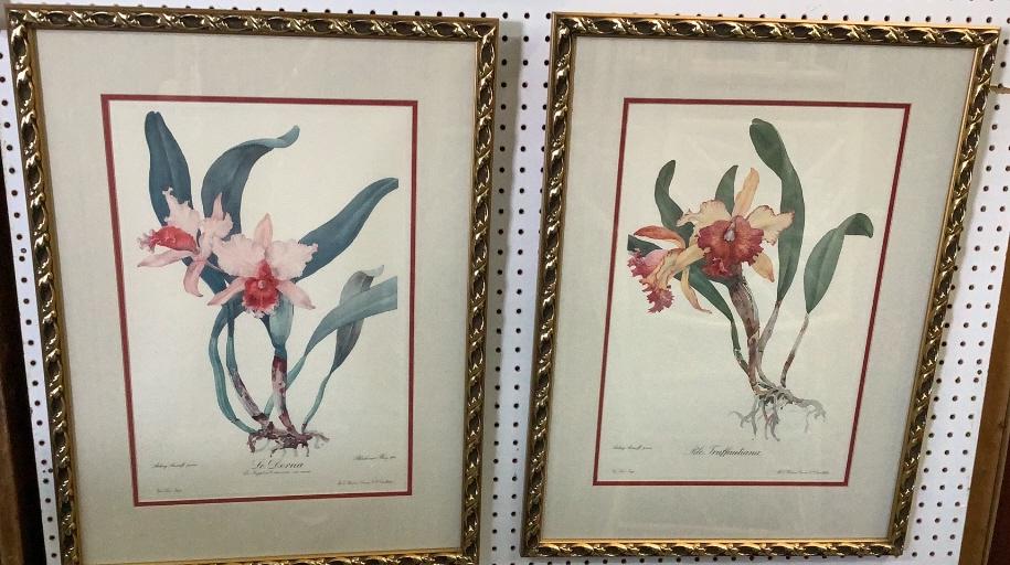 2 Audrey Avinoff Botanical Prints (1 of 7)