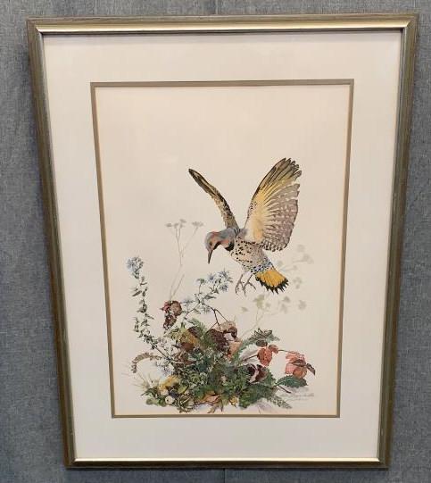 Yellow Shafted Flicker, Sallie Ellington Middleton (1 of 4)