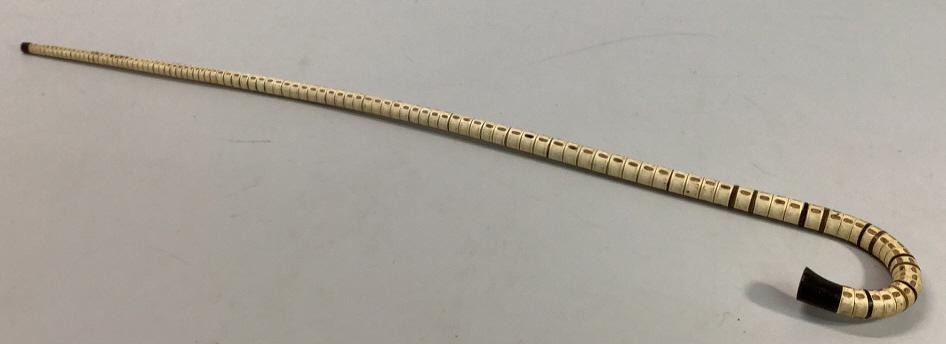 Shark Vertebrae  Walking Stick (1 of 5)