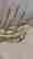 item-131891332=3