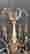 item-131891363=2