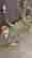 item-131891363=4