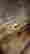 item-131891512=5