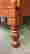 item-131891532=6
