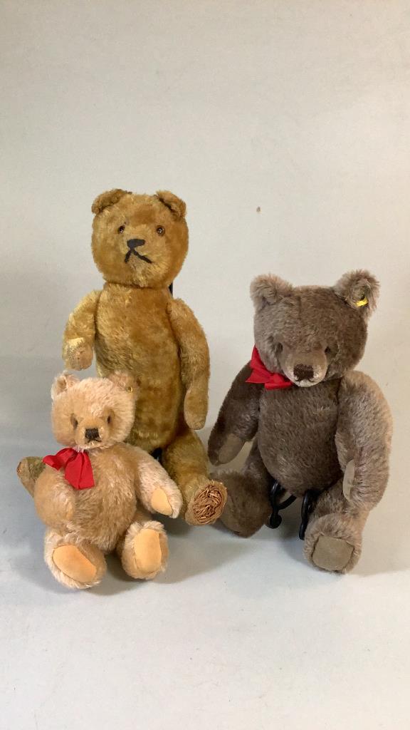 3 Steiff Bears: Well loved 16 inch jointed Bear, filled wood shaving body, no button, 10 inch jointed Bear, red bow, ear button, chocolate, 9 inch Bear w/ button, blond with red bow