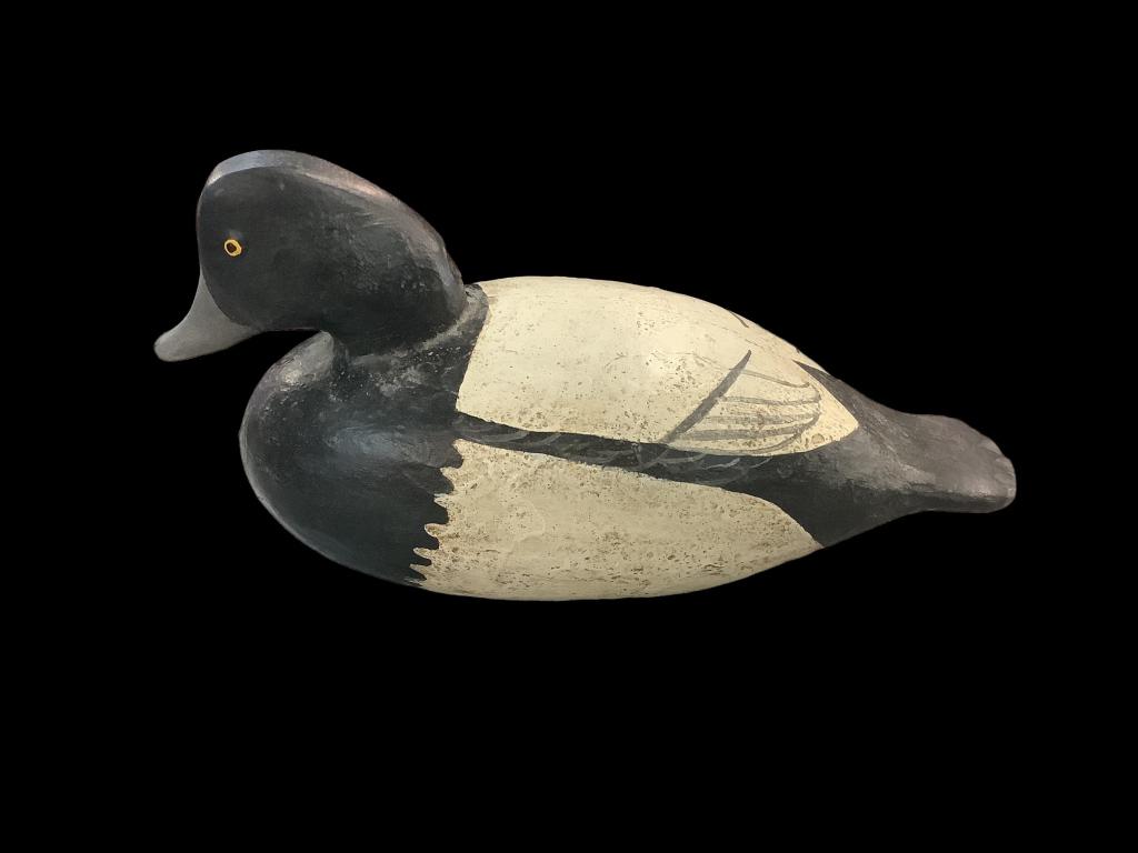 Decoy Attributed to Ed Gray: 14 inch Black headed Drake, stamped Gray,