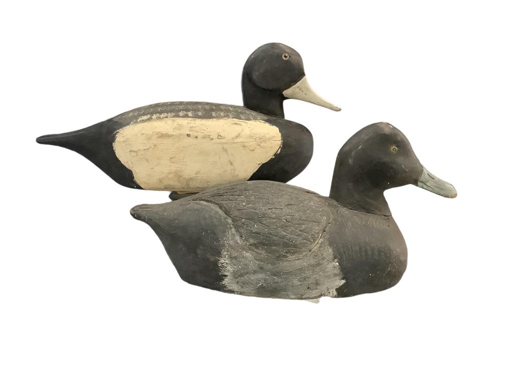 Two Duck Decoys (1 of 5)