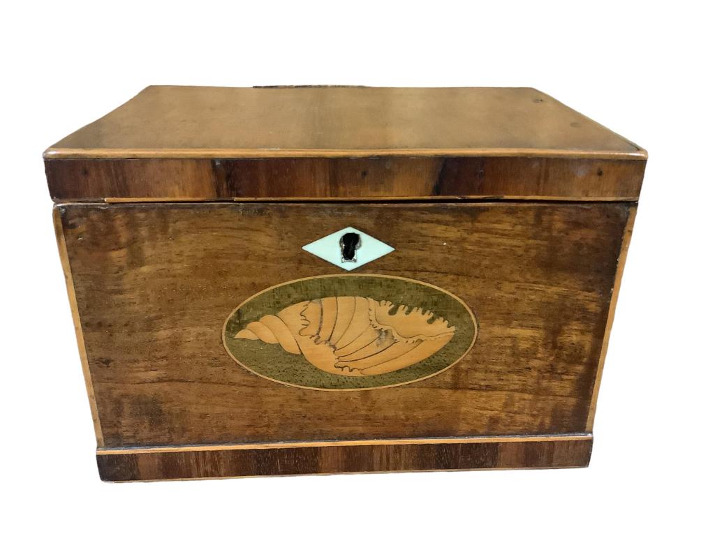 Georgian Mahogany Tea Caddy: 4 x 6 x 4.5 inch shell inlay cartouche , bone escutcheon, hinged lid, remnants of paper liner, no separation * small section of banding at lid missing