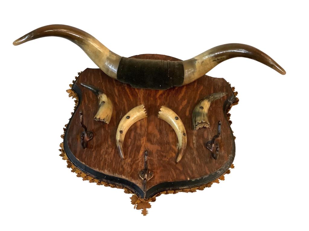 Horn Hat/ Coat  Rack (1 of 3)