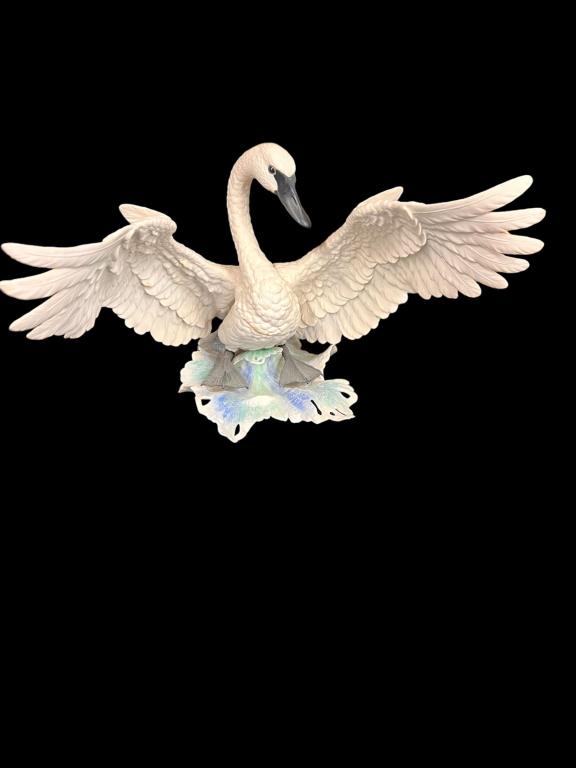 Boehm Trumpeter Swan (1 of 5)
