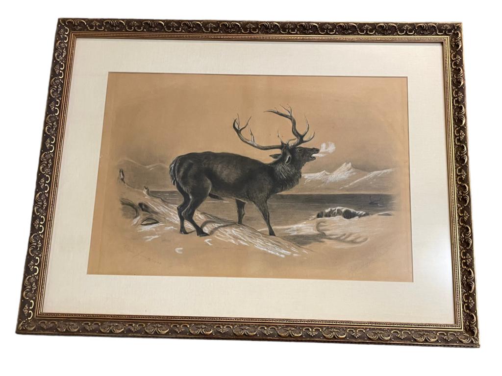 Charcoal and Chalk Drawing of Elk, 1883 (1 of 6)