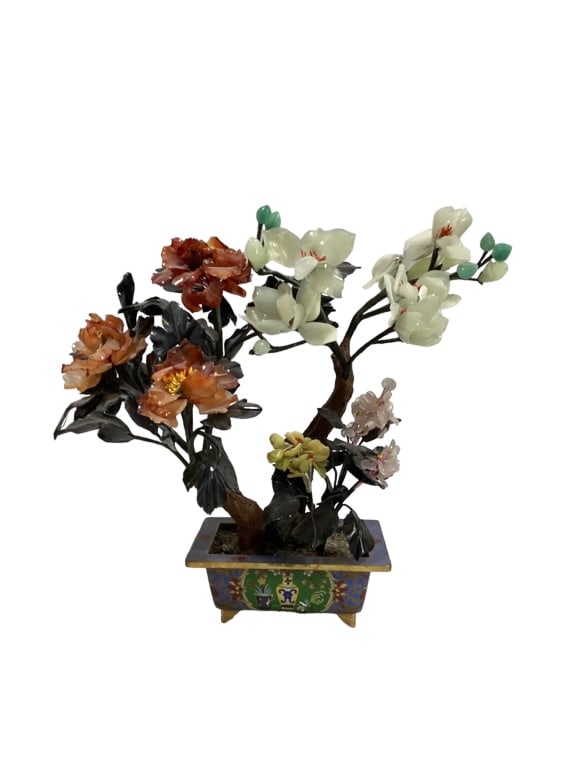 Jade Bonsai Tree (1 of 6)