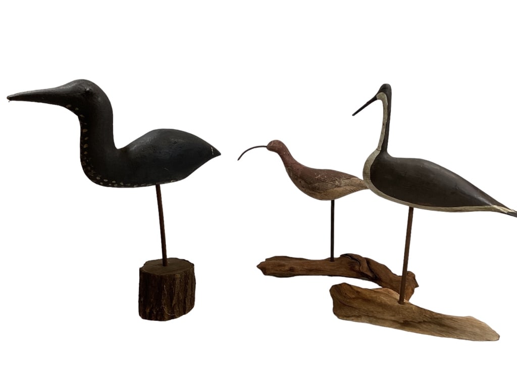 Three Shore Birds (1 of 6)