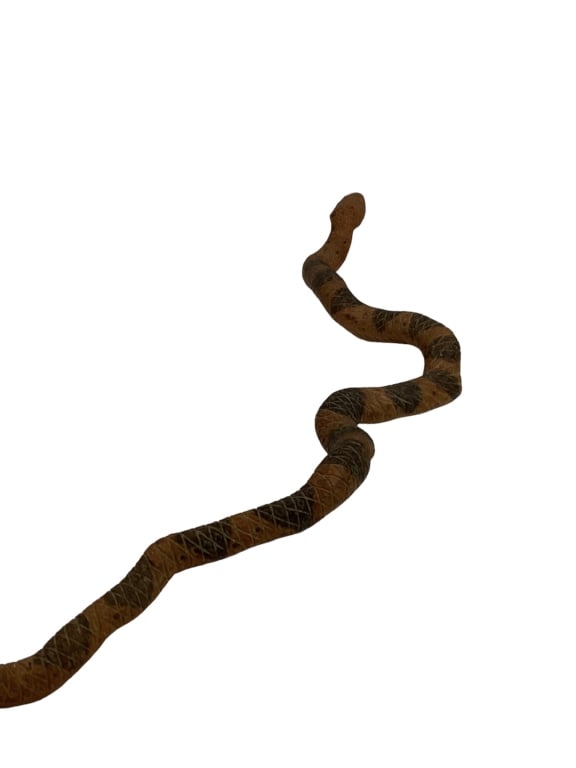 Southern Folk Art Snake (1 of 7)